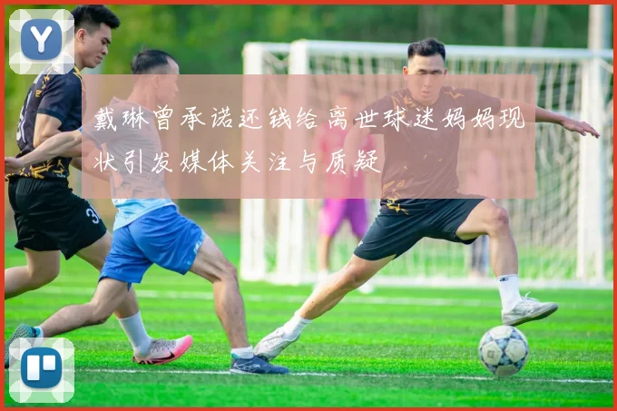 戴琳曾承诺还钱给离世球迷妈妈现状引发媒体关注与质疑