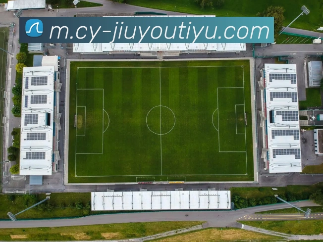 App Interface Preview