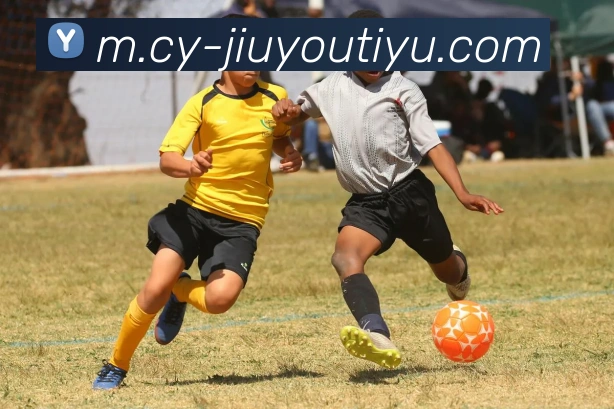 数据防护可视化