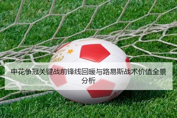 申花争冠关键战前锋线回暖与路易斯战术价值全景分析（jiuyou）